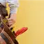 Handyman repair service in Provo, UT for home fixes and improvements